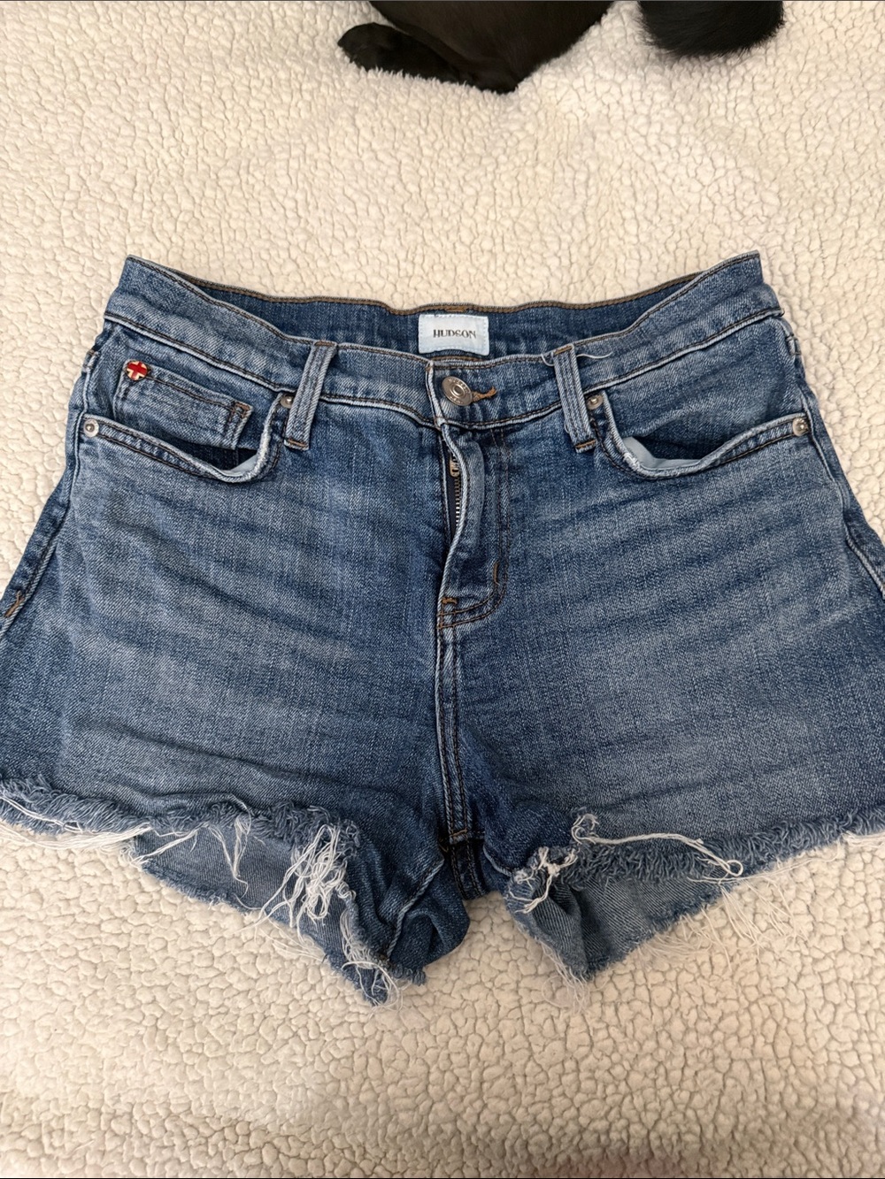 Hudson Jeans Distressed Denim Cutoff Shorts in Blue